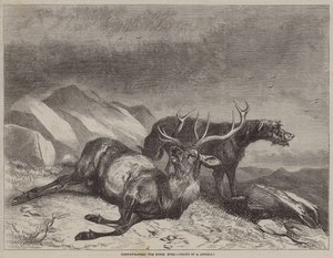 Deer-Stalking, den døende hjorte af after Richard Ansdell