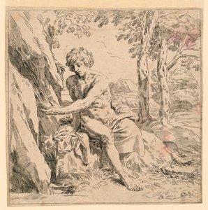 Sankt Johannes i ørkenen af after Simone Cantarini