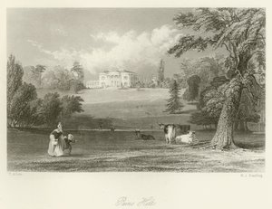 Pains Hill