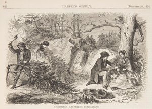 Jul – Indsamling af stedsegrønne planter af Winslow Homer