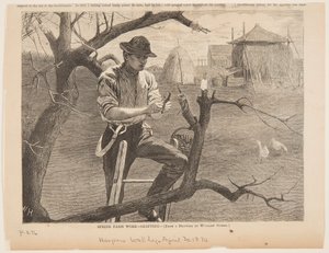 Spring Farm Work – Podning af Winslow Homer