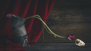 Mørk blomster-dødningehoved af alan shapiro