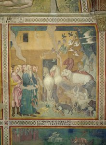 Noah Leading the Animals into the Ark, 1356-67 (se også 59303) af also Manfredi de Battilori Bartolo di Fredi