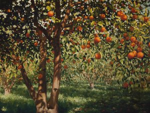 Silence under the oranges II, 2012, olie på lærred
