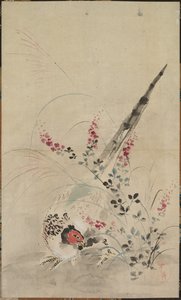Fasan og græs af attributed to Ogata Kōrin
