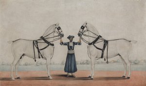 En Syce Groom Holder to vognheste, ca. 1845. af attributed to Shaikh Muhammad Amir of