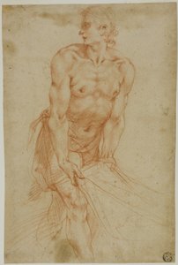 Mand trækker i et lagen: Studie til gravlæggelsen [Sakristiet i Certosa di San Martino, Napoli, 1596].