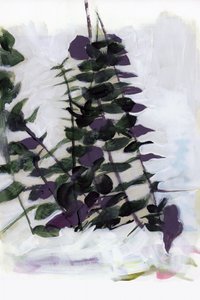 Abstrakt botanisk løv af cartissi