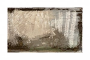 Abstrakt skovlys af cartissi
