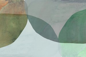 Abstrakte naturlige former af cartissi