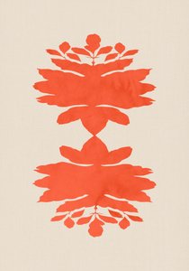 Koralens botaniske symmetri af cartissi