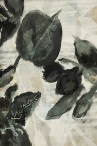 Mørke botaniske blade af cartissi
