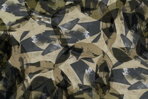 Jordnære abstrakte former af cartissi