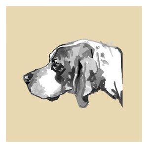 Elegant hundeprofil af cartissi