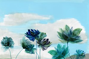 Æteriske himmelblomster af cartissi
