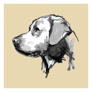 Profil af en udtryksfuld hund af cartissi
