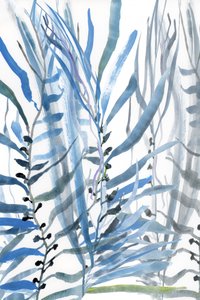 Strømmende blå botaniske motiver af cartissi