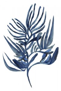 Indigo – En botanisk undersøgelse