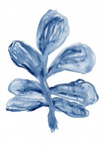  af cartissi