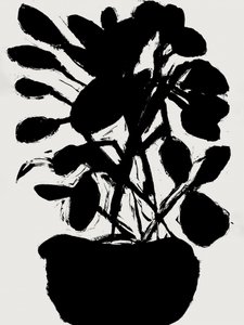 Minimalistisk potteplante af cartissi