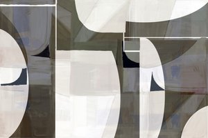 Moderne abstrakte kurver af cartissi