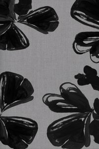Moderne sorte blomster af cartissi