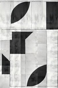 Moderne geometrisk monokrom af cartissi