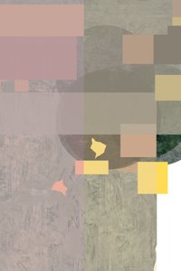 Afdæmpede geometriske lag af cartissi