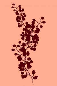 Fersken – botanisk silhuet af cartissi
