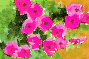 Blomster i den lyserøde have af cartissi