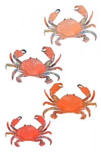 Fisk og skaldyr – Krabber – Akvarel af cartissi