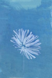 Fredfyldt blå blomst af cartissi