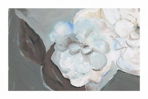 Fredfyldt blomsterskønhed af cartissi