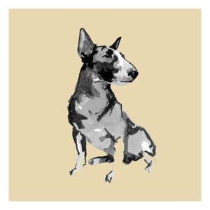 Siddende bullterrier af cartissi
