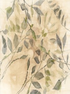 Bløde botaniske blade af cartissi