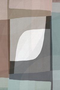 Blødt geometrisk flow af cartissi