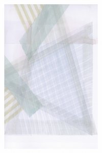 Bløde geometriske lag af cartissi