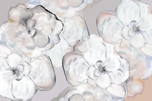 Bløde, hvide blomster af cartissi