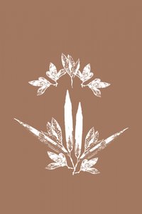 Stiliserede botaniske blade af cartissi