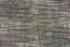 Diskrete geometriske lag af cartissi