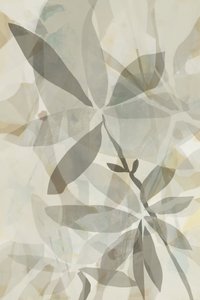 Gennemsigtig botanisk overlejring af cartissi