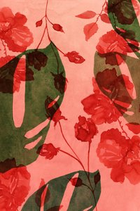 Tropisk blomsterfusion af cartissi