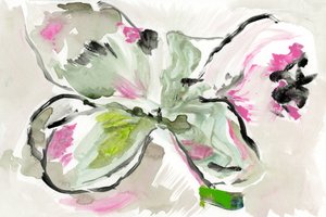 Livlig blomsterskitse af cartissi