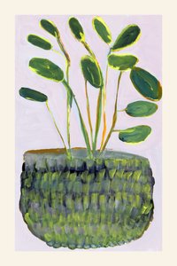 Farverig potteplante af cartissi
