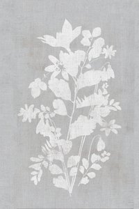 Hvid blomstersilhuet af cartissi