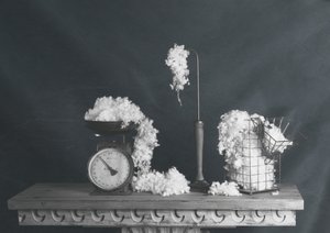 Vintage-stil med bomuldsstilleliv af chenyi wang