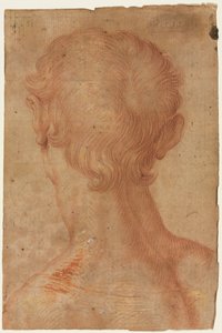 Mandens hoved bagfra af copy after Agnolo Bronzino