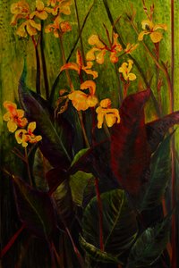 Canna Lily, 2017 (olie på lærred)