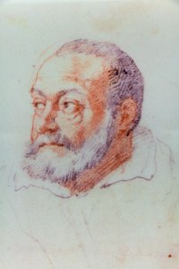 Portræt af Jacopo Barozzi da Vignola af or Zuccaro Federico Zuccari
