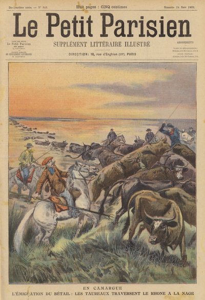 Migration af husdyr i Camargue: en flok tyre, der svømmer over floden Rhone (farve litho) af (after) Carrey